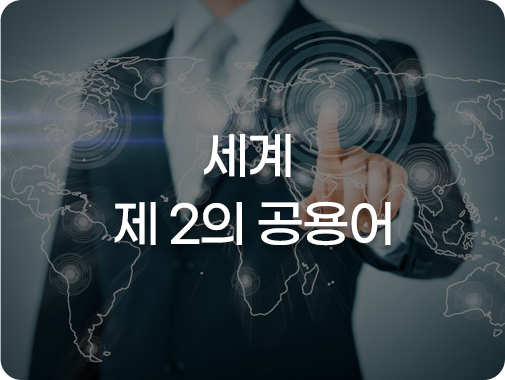 습득 능력이 높아 언어 습득력 UP!